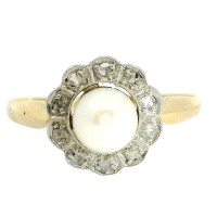 GÄNSEBLÜMCHEN GÄNSEBLÜMCHEN