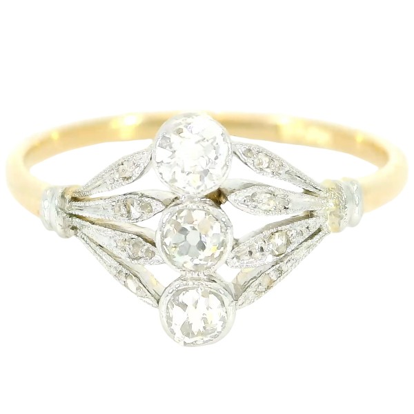 BLÜHENDER NEUBEGINN