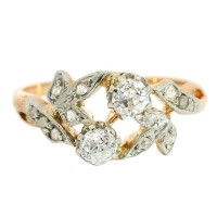 DOPPELTE BLÜTENPRACHT DOPPELTE BLÜTENPRACHT